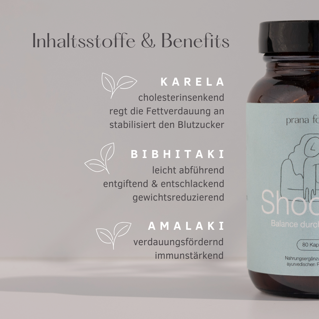 BIO Shodana - 2-Monatskur - Nahrungsergänzung Detox